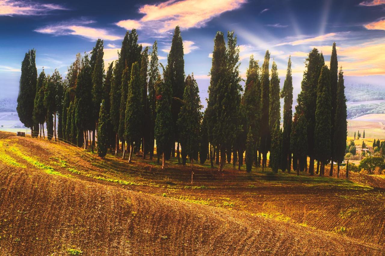 Podere Pietreta Radicofani Extérieur photo
